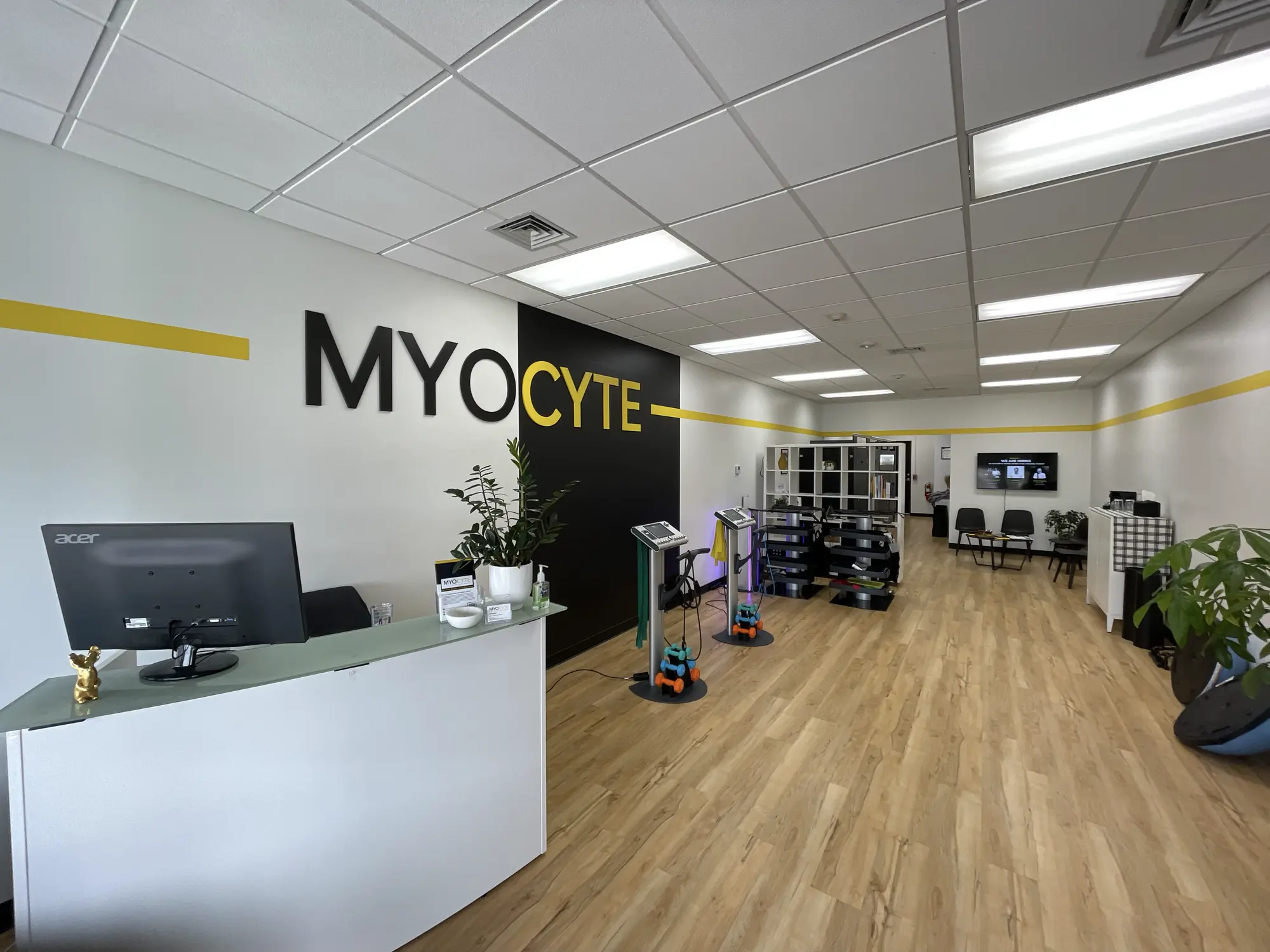 Myocyte USA EMS 9